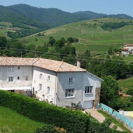 Les Picorettes Vaux-en-Beaujolais Dış mekan fotoğraf